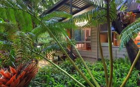 Chambers Wildlife Rainforest Lodges